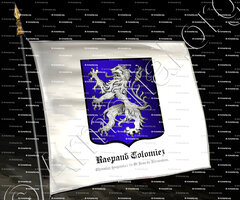 drapeau-RASPAUD COLOMIEZ_Chevalier hospitalier de St Jean de Jérusalem. 1608._France