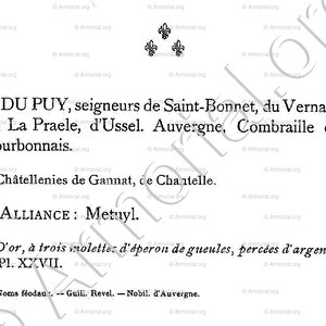 Du PUY_Bourbonnais_France (5)
