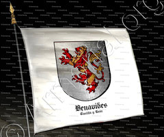 drapeau-BENAVIDES_Castilla y Leon_España
