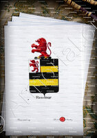velin-d-Arches-RANDOUR_Armorial royal des Pays-Bas_Europe