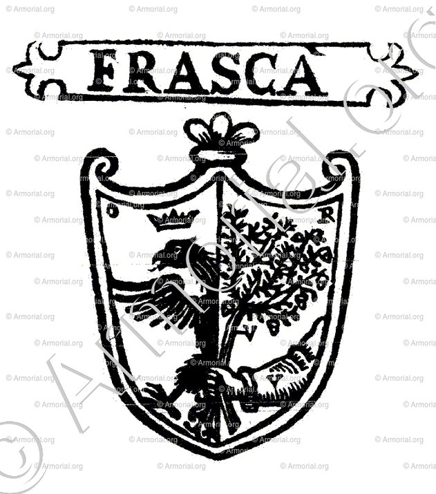 FRASCA o FRASCADA_Padova_Italia
