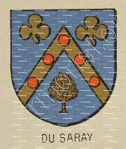 Du SARAY