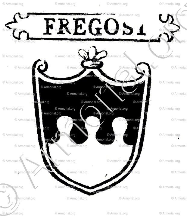 FREGOSI_Padova_Italia