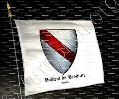 drapeau-BAILLEUL de LESDAIN_Flandre_France (i)