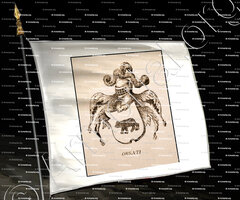 drapeau-ORSATI_Corse. Armorial Corse, 1892._France (1)