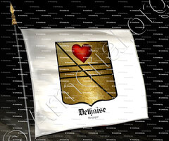 drapeau-DELHAISE_Belgique_Belgique..