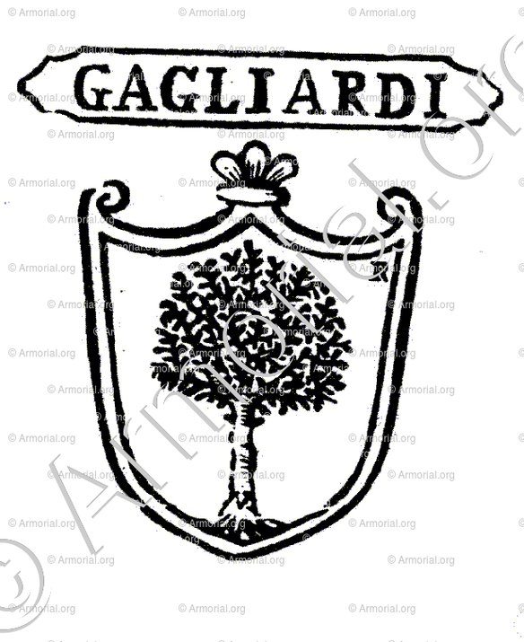 GAGLIARDI_Padova_Italia