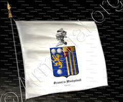 drapeau-GRUMEL de MONTGALAND_Lyonnais_France (5)