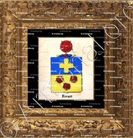 cadre-ancien-or-RIVART_Armorial royal des Pays-Bas_Europe