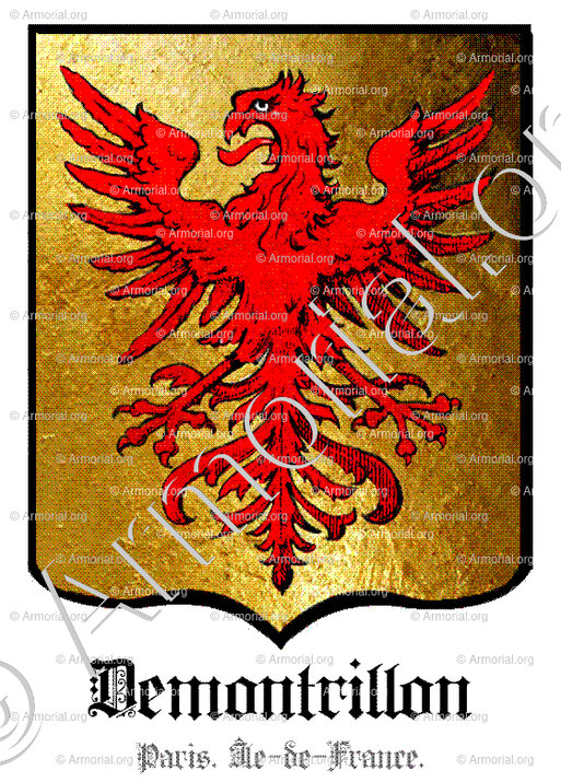 DEMONTRILLON_Paris. Île-de-France._France (1)