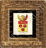 cadre-ancien-or-ROCKELFING_Armorial royal des Pays-Bas_Europe