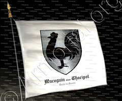 drapeau-MACOGNIN alias CHACIPOL_Duché de Savoie_France