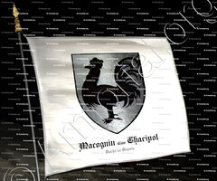 drapeau-MACOGNIN alias CHACIPOL_Duché de Savoie_France