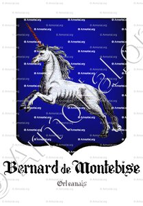 BERNARD de MONTEBISE