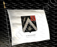 drapeau-De MEULENAËRE_Baron de l'Empire, 1810._France