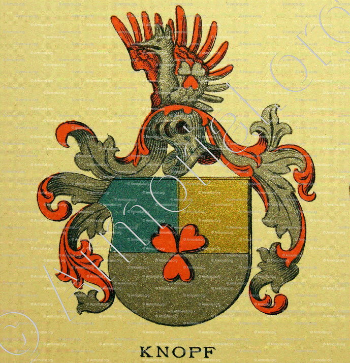 KNOPF_Wappenbuch der Stadt Basel . B.Meyer Knaus 1880_Schweiz