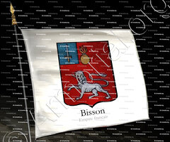 drapeau-BISSON_Empire français_France