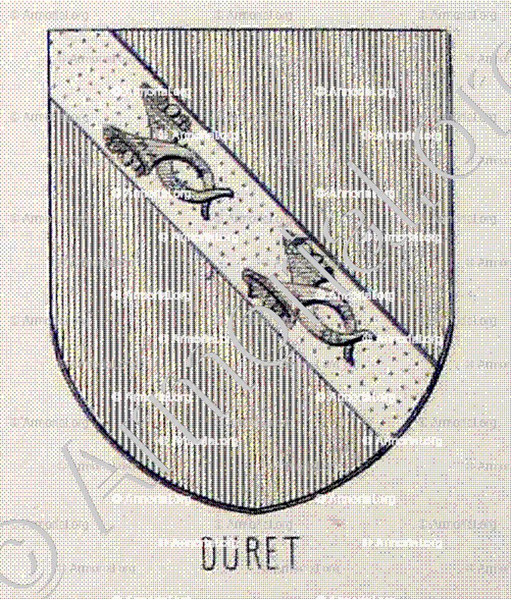 DURET_Bourbonnais_France (6)