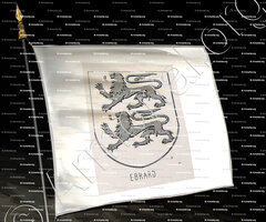 drapeau-EBRARD_Bourbonnais_France (6)