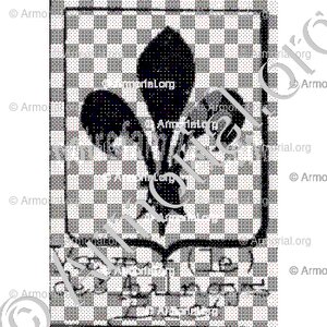 Vayer (le) des Aulnays