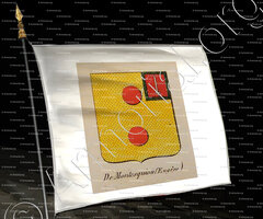 drapeau-DE MONTESQUIOU_Noblesse d'Empire._France