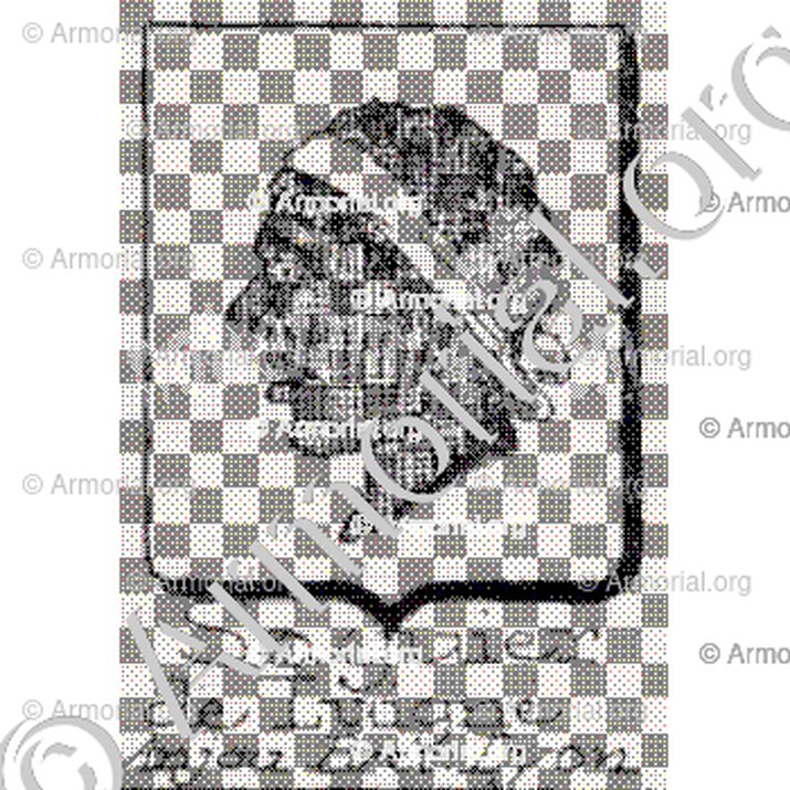 Saguier de Luigné__
