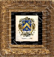 cadre-ancien-or-PHILIPPES baron de RYE_Paris_France (1)