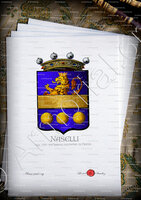 velin-d-Arches-NASELLI_Sicilia. Nel 1343 tra 'baroni feudatari di Piazza._Italia (i)