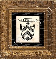 cadre-ancien-or-LIVELLI_Padova_Italia