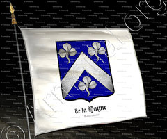 drapeau-de la HAYNE_Tournaisis_Belgique (2)