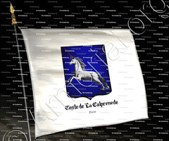 drapeau-COSTE de LA CALPRENEDE_Paris_France (2)