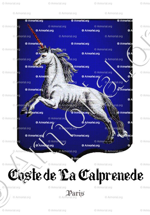 COSTE de LA CALPRENEDE_Paris_France (2)