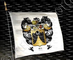 drapeau-ERBE_Strasbourg_France (1)