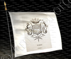 drapeau-TOMEI_Corse. Armorial Corse, 1892._France (2)