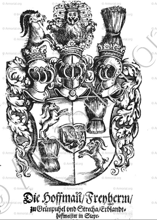 HOFFMANN_Steyr (Wappenbuch, 1872.)_Österreich