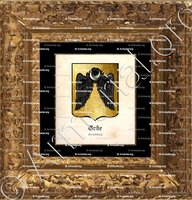 cadre-ancien-or-ERBE_Strasbourg_France (2)