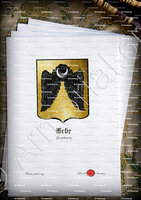 velin-d-Arches-ERBE_Strasbourg_France (2)