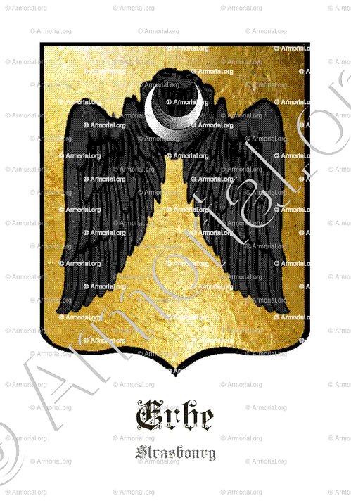 ERBE_Strasbourg_France (2)