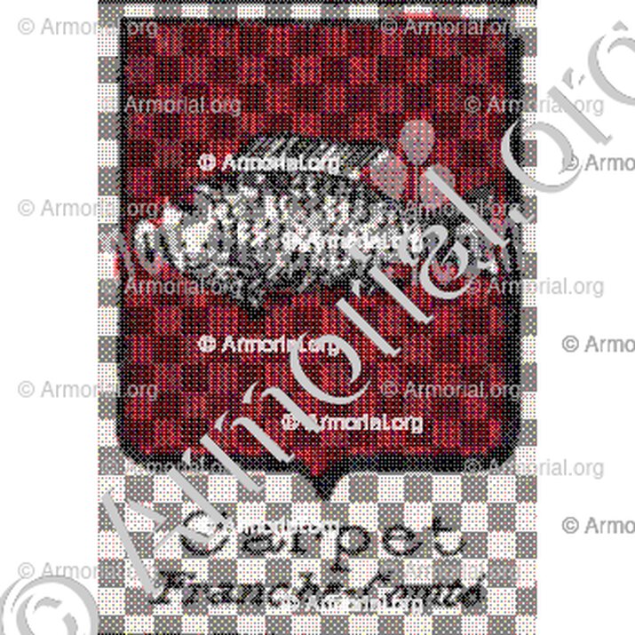 Carpet__