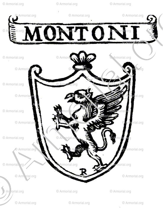 MONTONI_Padova_Italia