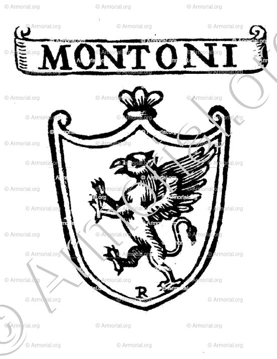 MONTONI_Padova_Italia