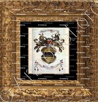 cadre-ancien-or-NOBLET_Noblet de Lespau (Armorial Daniel Sandoz, 1996)._France