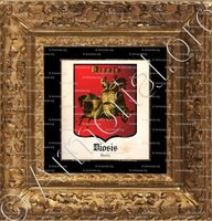 cadre-ancien-or-DIOSIS_Roma_Italia ()
