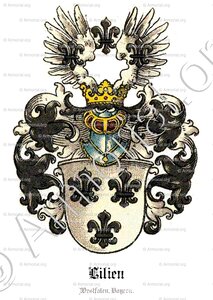 LILIEN
