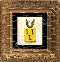 cadre-ancien-or-SCHUYLENBURCH DE BOMMENEDE_Armorial royal des Pays-Bas_Europe