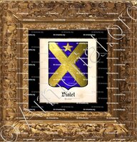 cadre-ancien-or-VIALET_Bresse_France