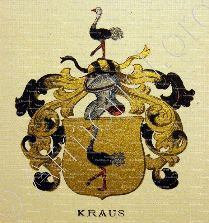 KRAUS_Wappenbuch der Stadt Basel . B.Meyer Knaus 1880_Schweiz