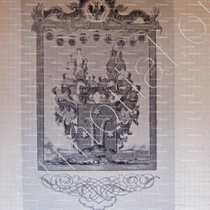 MARCUARD_Lettre de Noblesse, Vaud (4)