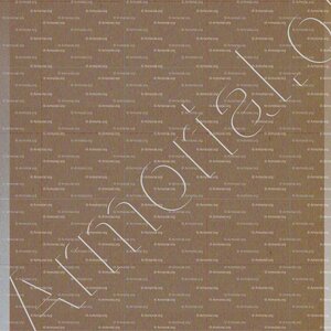 MARCUARD_Lettre de Noblesse, Vaud (5)