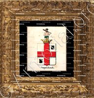 cadre-ancien-or-SINGENDONCK_Armorial royal des Pays-Bas_Europe